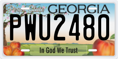 GA license plate PWU2480