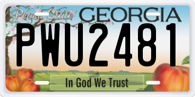 GA license plate PWU2481