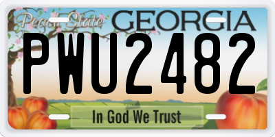 GA license plate PWU2482