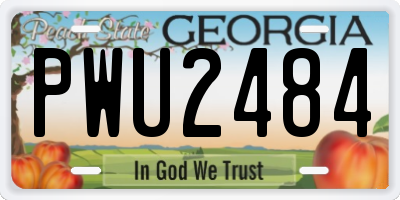 GA license plate PWU2484