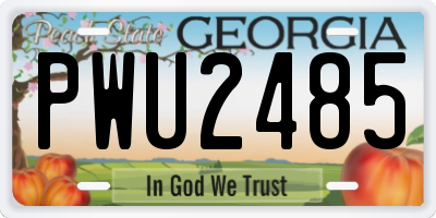 GA license plate PWU2485
