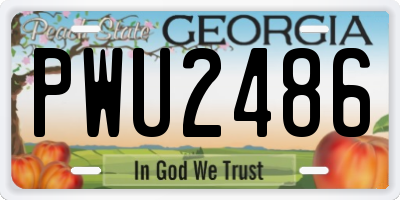 GA license plate PWU2486