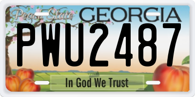 GA license plate PWU2487
