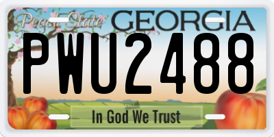 GA license plate PWU2488
