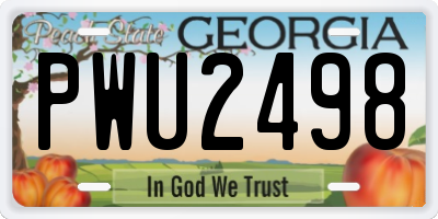 GA license plate PWU2498