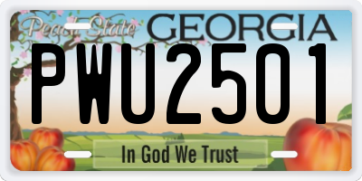 GA license plate PWU2501