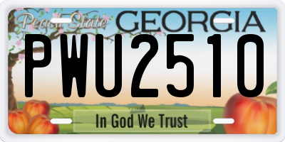 GA license plate PWU2510