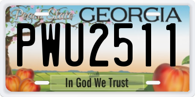 GA license plate PWU2511