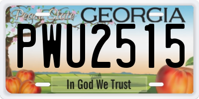 GA license plate PWU2515