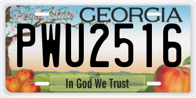GA license plate PWU2516