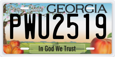 GA license plate PWU2519