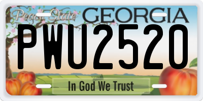 GA license plate PWU2520