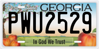 GA license plate PWU2529