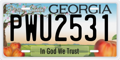 GA license plate PWU2531