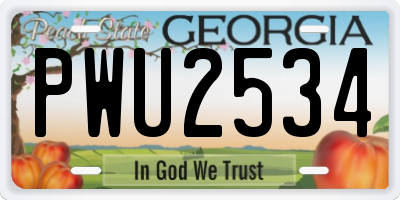 GA license plate PWU2534
