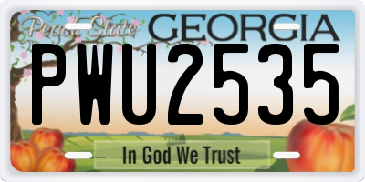 GA license plate PWU2535