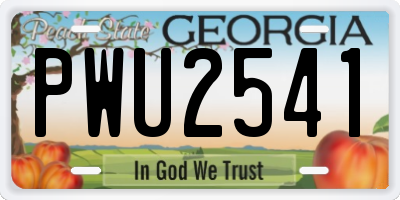 GA license plate PWU2541