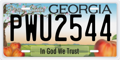 GA license plate PWU2544