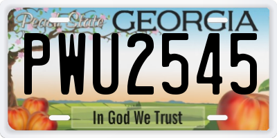 GA license plate PWU2545