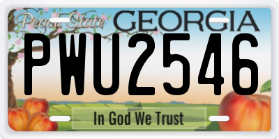 GA license plate PWU2546