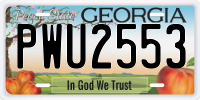 GA license plate PWU2553