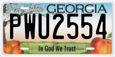 GA license plate PWU2554