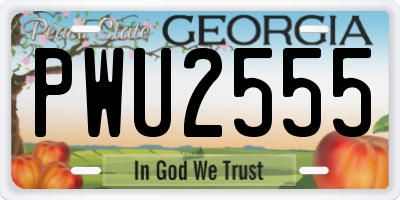 GA license plate PWU2555
