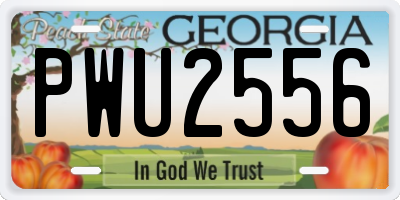 GA license plate PWU2556