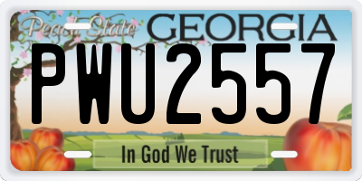 GA license plate PWU2557