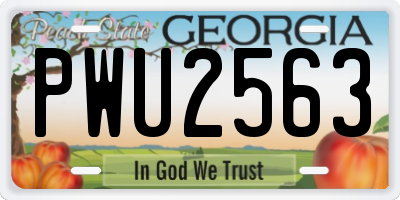 GA license plate PWU2563