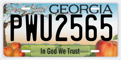 GA license plate PWU2565