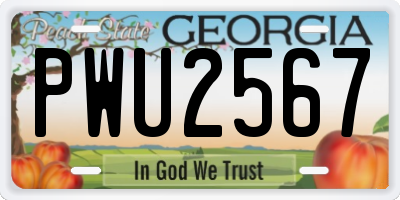 GA license plate PWU2567