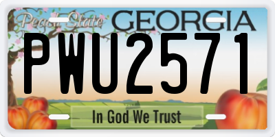 GA license plate PWU2571