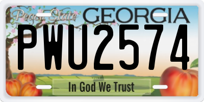 GA license plate PWU2574