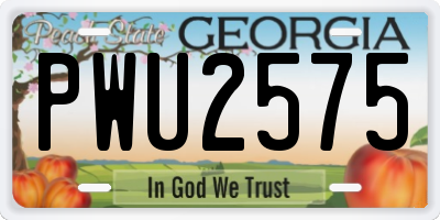GA license plate PWU2575