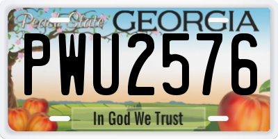 GA license plate PWU2576