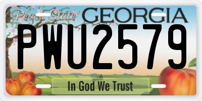GA license plate PWU2579