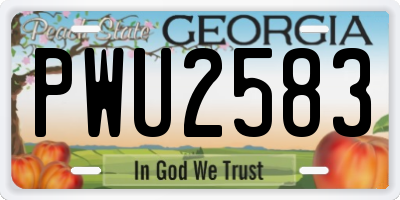 GA license plate PWU2583