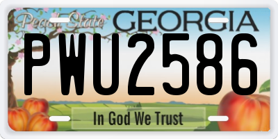 GA license plate PWU2586