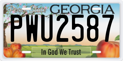 GA license plate PWU2587
