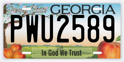 GA license plate PWU2589