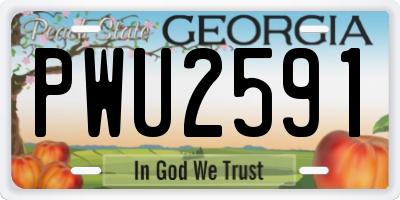 GA license plate PWU2591