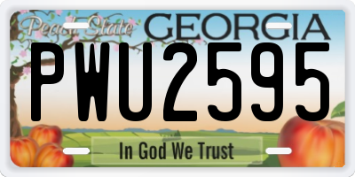 GA license plate PWU2595