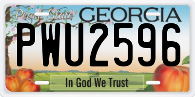 GA license plate PWU2596