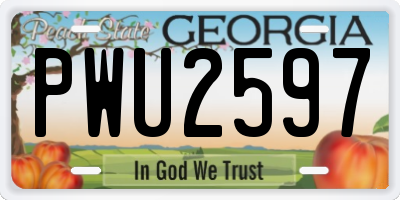 GA license plate PWU2597