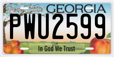 GA license plate PWU2599