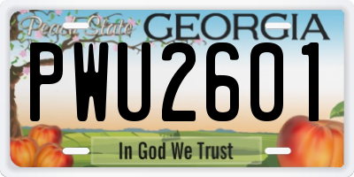 GA license plate PWU2601