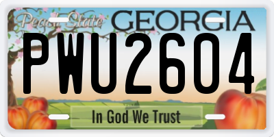 GA license plate PWU2604
