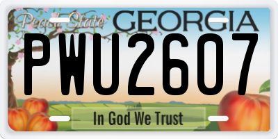GA license plate PWU2607