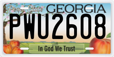 GA license plate PWU2608